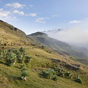 Landscape in the Semien Mountains National Park, Ethiopia