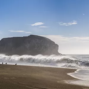 Large haystack rock with crashing waves and birds on the beach in California