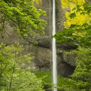 Latourell Falls, Columbia Gorge, Oregon, USA