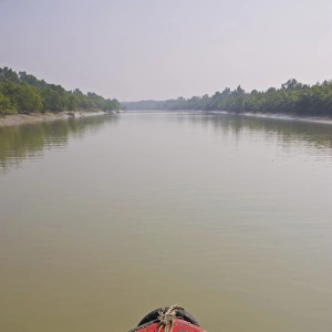 Little rowing boat in the swampy areas of the Unesco world heritage sight Sundarbans