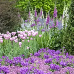 Longwood Gardens, spring flowers, Kennett Square, Pennsylvania, USA