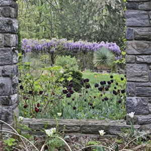 Looking through the window ruins. Chanticleer Garden, Wayne, Pennsylvania