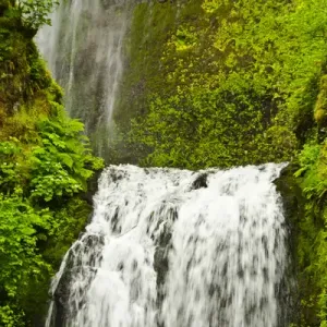 Lower Multnomah Falls, Columbia Gorge, Oregon, USA