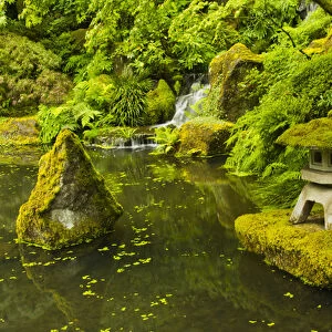 Lower Pond, Strolling Garden, Portland Japanese Garden, Portland, Oregon, USA