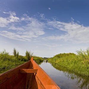 The Mabamba wetlands near Kampala are famous for the shoebill population. Dugout canoe