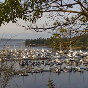 Marina at Roche Harbor, San Juan Island, Washington State