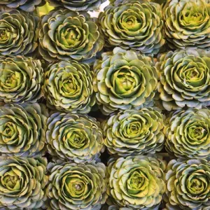 Artichokes in a Market Print, Santiago, Chile Artichokes in a Market Print, Santiago, Chile
