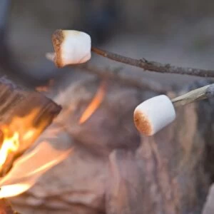Marshmallow roasting on a stick in campfire near Whitefish Montana