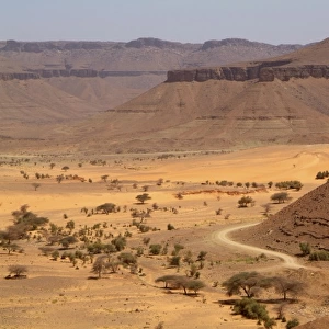 Mauritania, Adrar, White valley, N tourvine pass