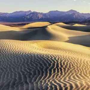Mesquite Sand Dunes. Death Valley. California Mesquite Sand Dunes. Death Valley. California
