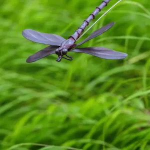 Metal dragonfly garden ornament Metal dragonfly garden ornament