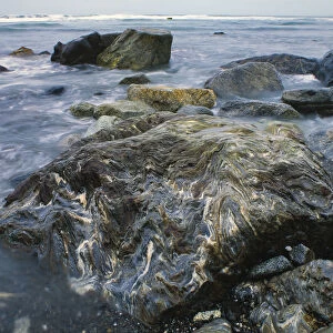 Metamorphic rocks, Yakutat Beach, Alaska