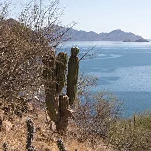 Mexico, Baja California Sur, Sea of Cortez, Loreto Bay