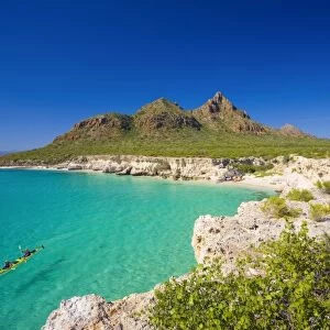 Mexico, Baja, Sea of Cortez. Sea Kayakers, white sand beach and Cardon Cactus of Isla Carmen
