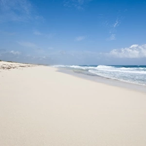 Mexico, Cozumel. Punta Morena beach, Isla de Cozumel (Cozumel Island)