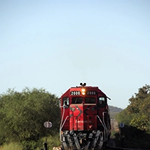 Mexico, State of Sinaloa, Copper Canyon. Copper Canyon (aka Chepe) train station at El Fuerte