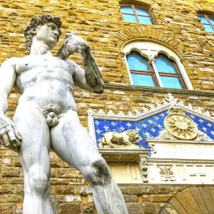 La réplica de la estatua del David de Michelangelo en la plaza de la señoría y el palacio viejo en Florencia La réplica de la estatua del David de Michelangelo en la plaza de la señoría y el palacio viejo en Florencia