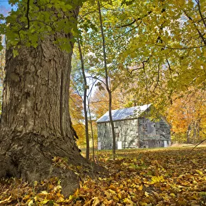 Michigan Barn in autumn