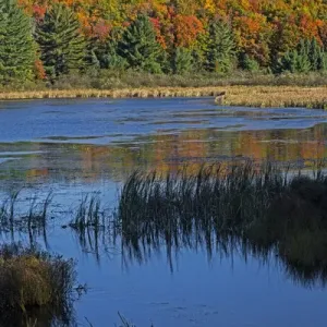 Michigan, Hiawatha National Forest, Doe Lake Michigan, Hiawatha National Forest, Doe Lake