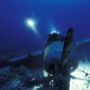 Micronesia, Palau, World Heritage Site. Divers inspecting WWII Japanese Jake Seaplane