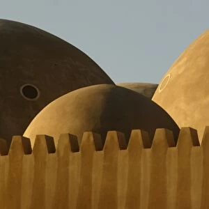 Middle East, United Arab Emirates, Dubai, distinctive domed roof in Dubai