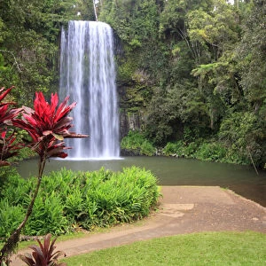 Millaa Millaa Falls is one of the iconic landscapes of far north Queensland and one