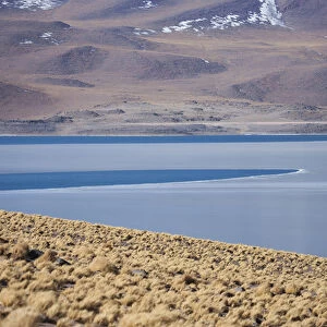 Miscanti Lake is a brackish water lake located in the altiplano of the Antogafasta region of Chile