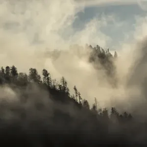 Misty Cloud filled valley from Morton Overlook, Great Smoky Mountains, National Park