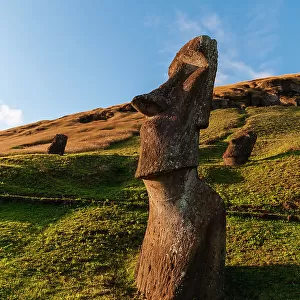 Moai statue at Rano Raraku. Rapa Nui, Easter island, Chile
