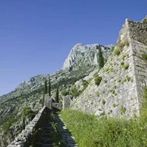 Montenegro, Kotor Bay / Kotor. Trail atop Kotors mountainside fortifications