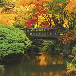 Moon Bridge in Autumn: Portland Japanese Garden, Portland, Oregon, USA