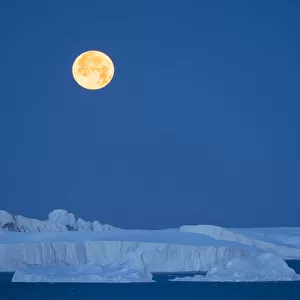 Full Moon. Ilulissat Icefjord also called kangia or Ilulissat Kangerlua at Disko Bay