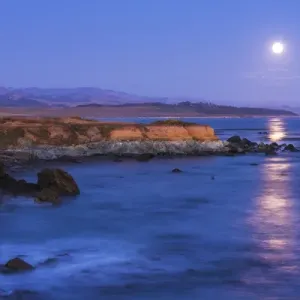 Full Moon Rising Print over Piedras Blancas Elephant Seal Rookery Full Moon Rising Print over Piedras Blancas Elephant Seal Rookery