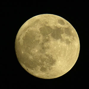 Full moon with yellowish hue. Credit as: Arthur Morris / Jaynes Gallery / Danita Delimont