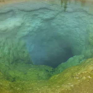 Morning Glory Pool, Yellowstone National Park Morning Glory Pool, Yellowstone National Park