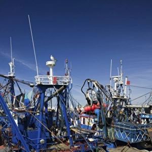 MOROCCO, Atlantic Coast, ESSAOUIRA: Fishing Fleet