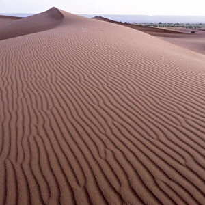 Morocco. Sunrise over Erg Chegaga (or Chigaga) is a Saharan sand dune (approximately