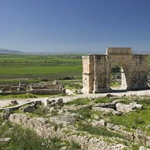 MOROCCO, Volubilis: Roman Town mostly dating to 2nd & 3rd c. AD / Abandoned by Romans