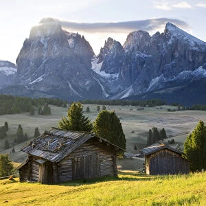Mountain cabins, Seiser Alm Sassolungo (Langkofel), Alpe di Siusi, Trentino-Alto Adige