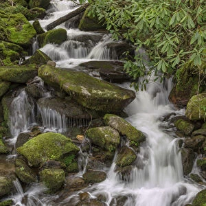 Mountain stream, Great Smoky Mountains National Park, North Carolina
