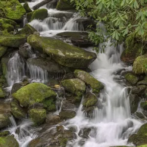 Mountain stream, Great Smoky Mountains National Park, North Carolina