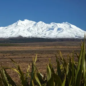 Mt Ruapehu Print, Tongariro National Park Landscape Mt Ruapehu Print, Tongariro National Park Landscape