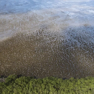 Mud patterns on beach East coast GUYANA South America