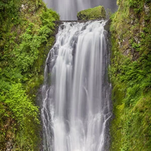 Multnomah Falls, Columbia River Gorge, Oregon