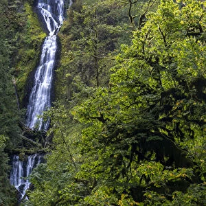 Munson Creek Falls near Tillamook, Oregon, USA