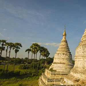 Myanmar. Bagan. Minochantha Stupa group and palm trees beyond