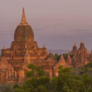 Myanmar. Bagan. Temples of Bagan in the purple pre-dawn light
