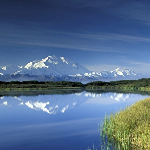 NA, USA, Alaska, Denali NP Mt. McKinley (20, 320 feet) Mountain reflected in