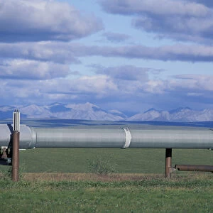 NA, USA, Alaska, north slope of Brooks Range Trans-Alaska Oil Pipeline snakes