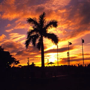 NA, USA, Florida, Florida Keys, Key West, Sunset Mallory Square with Palm Tree